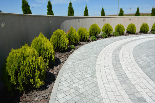 Best Local Driveway Pavers  in Temple, GA